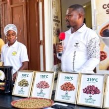 Café-cacao : le CCFCC mise sur la jeunesse pour valoriser les filières togolaises