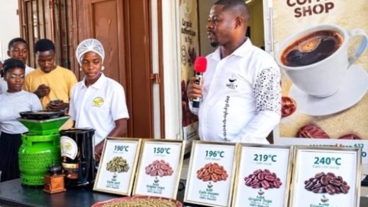 Café-cacao : le CCFCC mise sur la jeunesse pour valoriser les filières togolaises